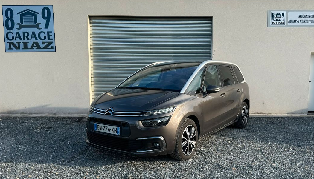 c4 picasso